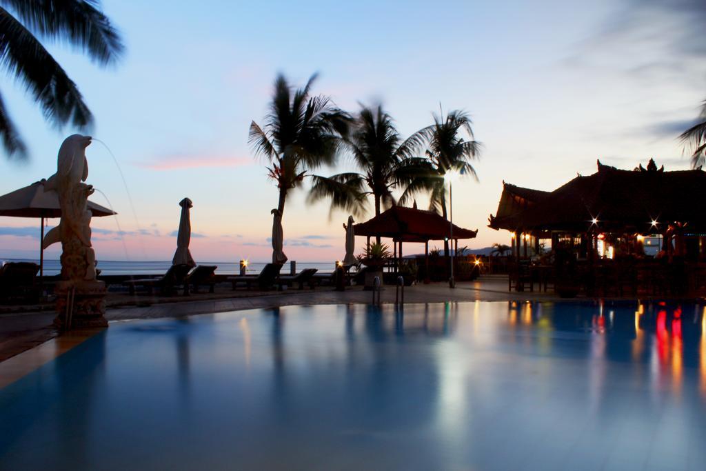 Bali Palms